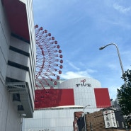 [오사카] 3탄 오사카 우메다 쇼핑 | 난바 쇼핑 | 오사카 여행 3일차