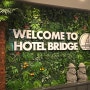 제주 호텔 브릿지 서귀포 가성비 숙소 내돈내산 두번째 방문