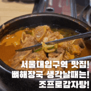 서울대입구역 감자탕, 뼈해장국 맛집! [조프로감자탕] 내돈내산 후기
