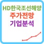 지주사 조선주 관련주 HD한국조선해양 주가 기업 분석