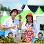 [화천e문화] 화천토마토축제 명품 토마토, 안방에서 공영쇼핑으로 구매