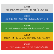 가장 효과적인 운동 강도 : 존투 운동 (Zone 2 Exercise)