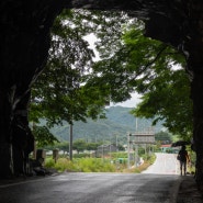 무주 가볼만한곳 라제 나제 통문 구천동 33경 계곡여행