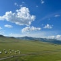 몽골 7월 여행