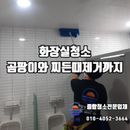 부산화장실청소업체 곰팡이 및 찌든때제거 업체 추천