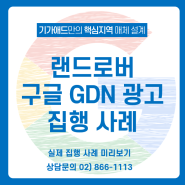 [수입차 집행 사례] 랜드로버 구글 GDN 광고