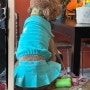 강아지여름옷 빱쓸 테리 투피스로 청량한 민트강아지 완성
