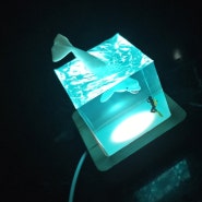 본디자인랩 LED 무드등 추천 범고래 무드등