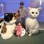 [서울 아이와 가볼만한 곳]여름방학 전시추천 국립민속박물관 요물, 우리를 홀린 고양이