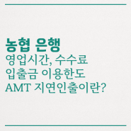 농협 ATM 영업시간 수수료 입출금 이용한도 지연인출제도