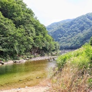 경기도 가평 명지 계곡 펜션