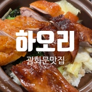 광화문 맛집 피맛골 이색적인 광동식 오리구이 덮밥 "하오리"내돈내산