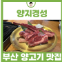 부산 먹거리 추천 광안리 데이트 코스 양고기 맛집 양지경성