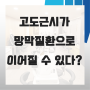 고도근시가 망막질환으로 이어질 수 있다?