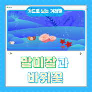 [카드로 보는 북한말] 말미잘과 바위꽃