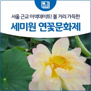 서울 근교 이색데이트! 볼 거리 가득한 '세미원 연꽃문화제'