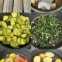 Photo Dump1 요리 (옥수수, 옥수수수염차, 호박고지나물,깻잎나물, 감자조림, 명란애호박)