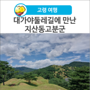 [고령 여행] 대가야둘레길 2코스(생활길)에서 만난 세계유산 '지산동고분군'