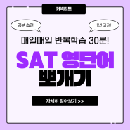 매일매일 반복학습 30분 영단어 공부! SAT 영단어 뽀개기