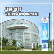 대전 근교 실내 가볼만한곳 국립세종수목원 야간개장 기본정보 아이랑 여행 추천