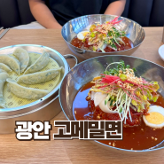 부산 광안역 밀면맛집, 고메밀면(+광안역맛집, 광안리맛집)