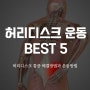 허리디스크 운동 추천 Best5 최신논문 코어강화