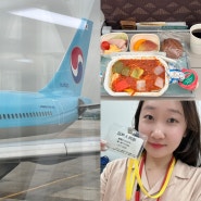 김포에서 하네다 대한항공 타고 도쿄 여행 후기 일본 외무성 방문