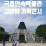 서울여행 추천 국립민속박물관 고양이 기획전시