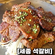 [세종 석갈비] "이응갈비" 금강호와 이응다리를 보며 먹는 석갈비