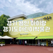 용인 경기도어린이박물관 7살 아이랑 방문 후기, 예약, 주차