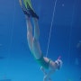 서울 프리다이빙 초급 강습 친구랑 첫 도전하기