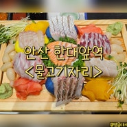 안산 한대앞역 무한리필 횟집 맛집 - 물고기자리