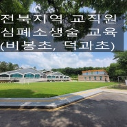 전북 초등학교 교직원 심폐소생술 및 응급처치 교육