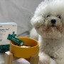강아지영양제 : 동물 병원 전용 간 건강 보조제 : 마크벳 사메프로