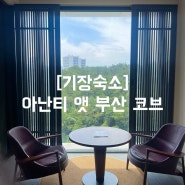 [기장숙소] 아난티 앳 부산코브 마운틴뷰 숙박후기 / 인피니티풀, 부대시설 소개 / 부산여행 호캉스