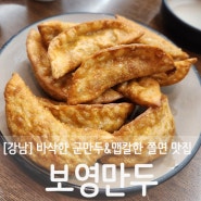 [강남]바삭한 군만두&맵칼한 쫄면맛집 강남역 가성비맛집 "보영만두"