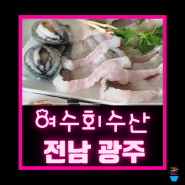 광주 수완지구횟집 여수회수산 하모샤브 맛점