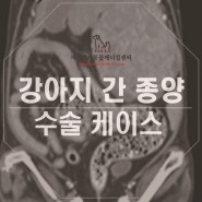 대전24동물병원 종양 수술도 꼼꼼하게