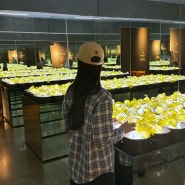 전주 현대옥 본점 24시 국밥맛집 콩나물 박물관