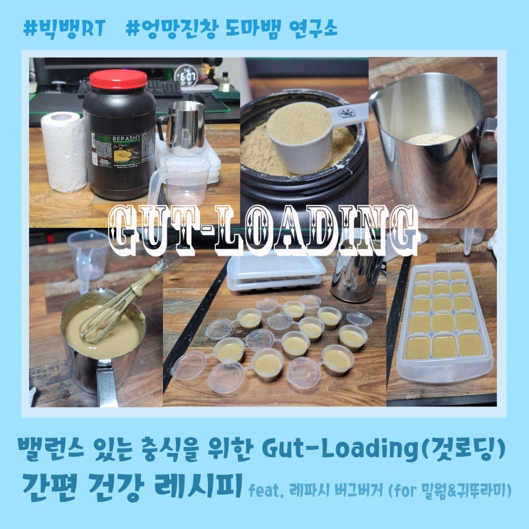 건강한 충식을 위한 gut-loading (것-로딩) 레시피 : 네이버 블로그