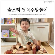 숲소리 소꿉놀이세트v2 21개월아기 원목주방놀이로 추천