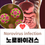 노로바이러스 감염증 정의, Norovirus 원인과 구토 복통 발열 장염 증상, 진단 및 수액치료와 예방