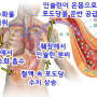 양자기 검사 데이터 분석 - 혈당 분석 보고서