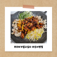 부산진경찰서맛집 철판, 불향쭈꾸미 존맛탱, 쭈꾸미가 알고싶다 부산서면점