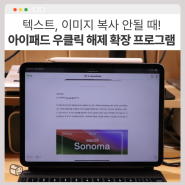 아이패드 크롬 사파리 우클릭 해제 확장 프로그램 활용하기