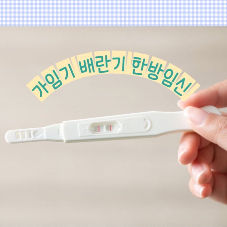 가임기 뜻 가임기 임신확률 계산 가임기증상 : 네이버 블로그