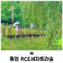경남 통영 RCE세자트라숲 여름 아이와 가볼만한곳 추천