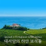 8/9(금) 대서양의 하얀 보석들(Spanish & Portuguese White Wines)