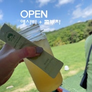 open)수영복 입어야죠! "애플 사이다 비기너 + 콤부차" 제로슈거 애사비 작심랙 ~41% 역대급 할인