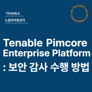 Tenable Pimcore Enterprise Platform : 보안 감사 수행 방법